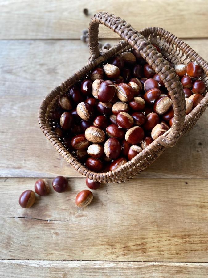 Gite Dordogne Perigord Hautefort Kültér fotó